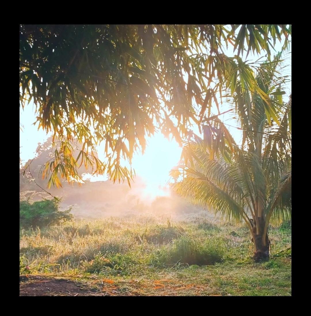 L'Ecrin Vert Sainte-Anne  Ngoại thất bức ảnh